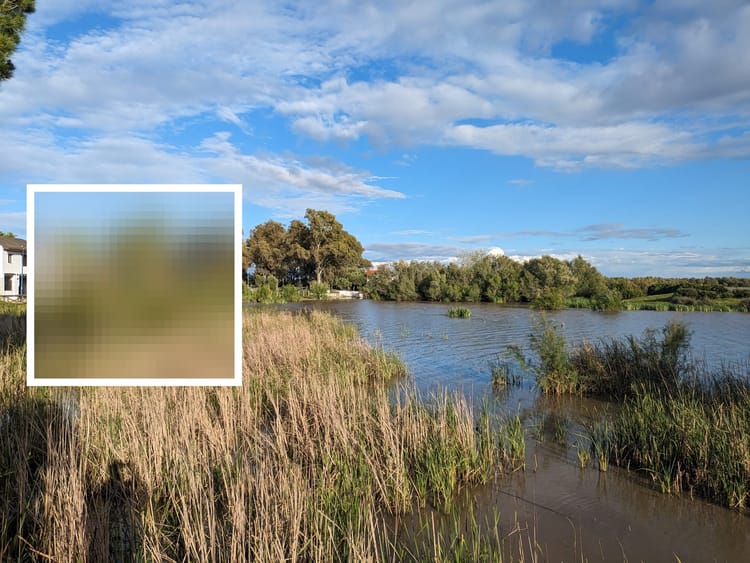 Les males decisions racionals