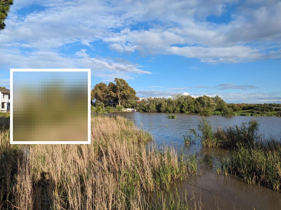 Les males decisions racionals