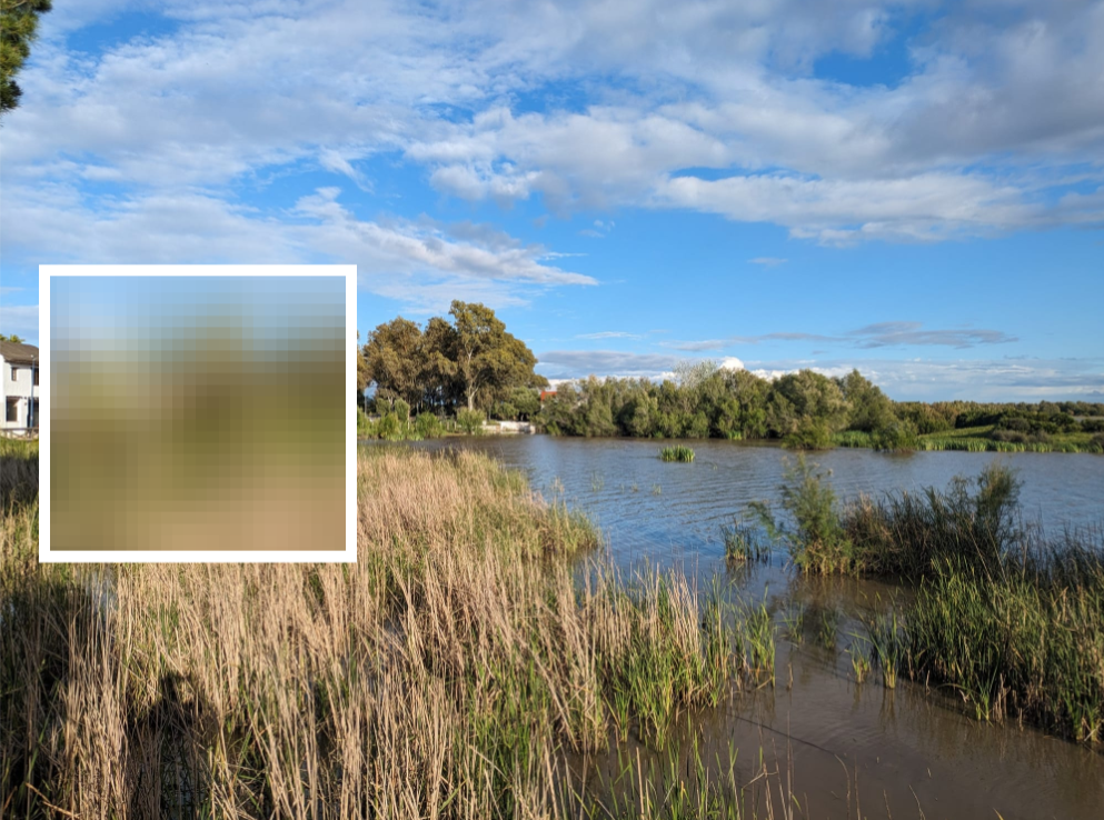 Las malas decisiones racionales - (ESP)