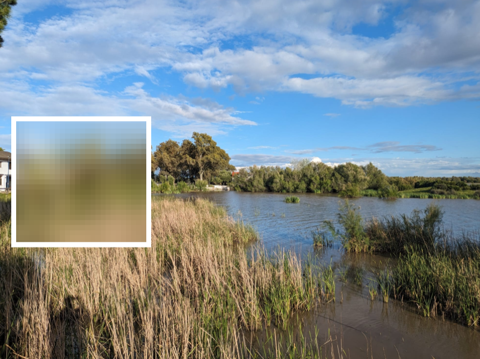 Bad rational decisions - (ENG)